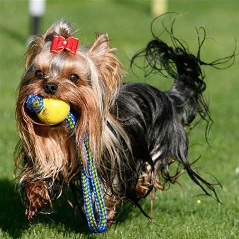 1 unidad de dientes de goma indestructibles para cachorros, pelota de entrenamiento divertida, juguetes para masticar, juego para buscar, sólido con cuerda transportadora, juguete para perros