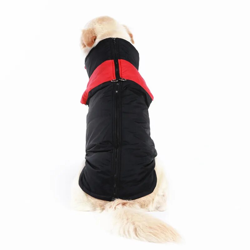 Ropa de invierno para perros, abrigo cálido para perros grandes, ropa para cachorros, chaleco impermeable para mascotas, chaqueta para perros pequeños, medianos y grandes, Golden Retriever