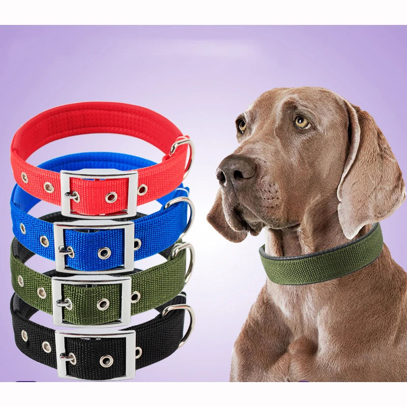 Collares de perro sólidos Collar de perro de nailon para perros pequeños medianos grandes Teddy Keji Pitbull Bulldog Beagle