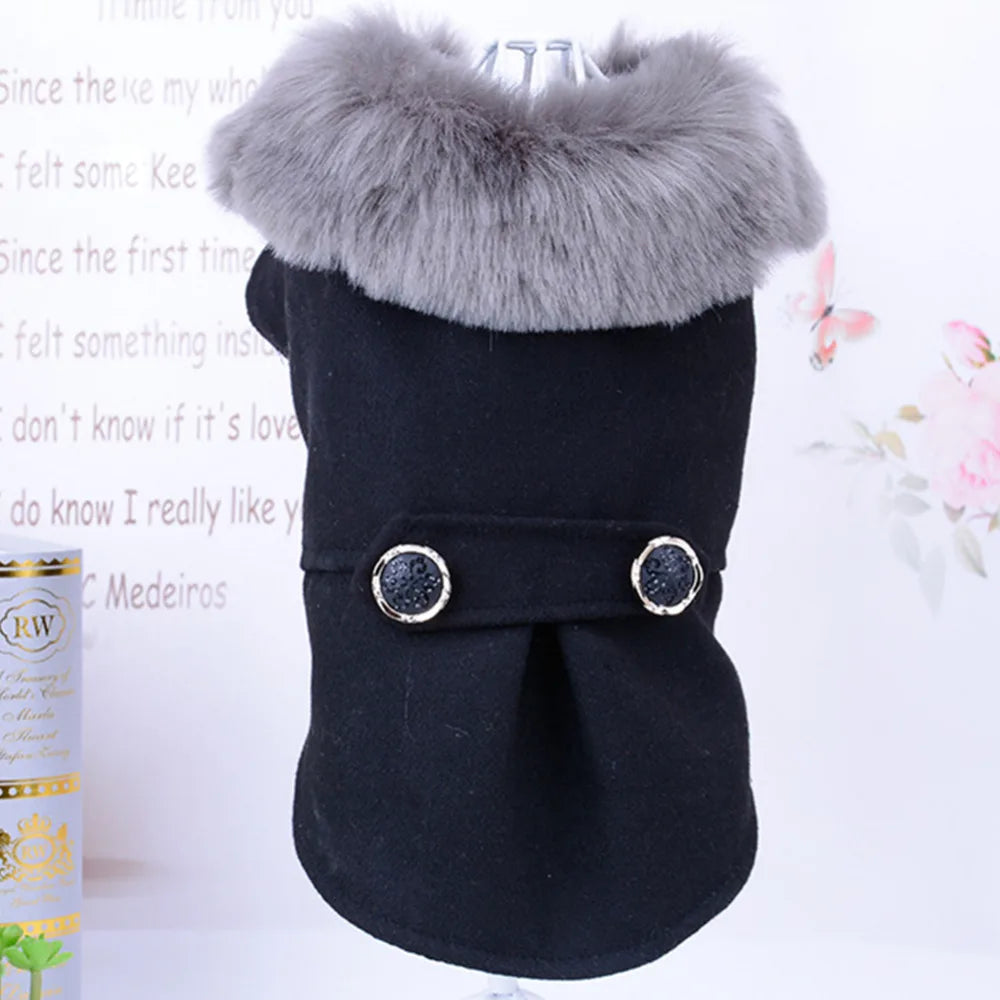 Ropa de invierno para perros, chaqueta con cuello de piel de Gato, abrigo, suéter, ropa acolchada cálida para cachorros, perros pequeños y medianos