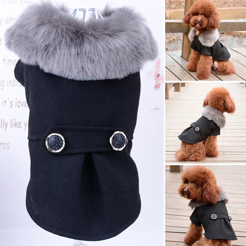 Ropa de invierno para perros, chaqueta con cuello de piel de Gato, abrigo, suéter, ropa acolchada cálida para cachorros, perros pequeños y medianos