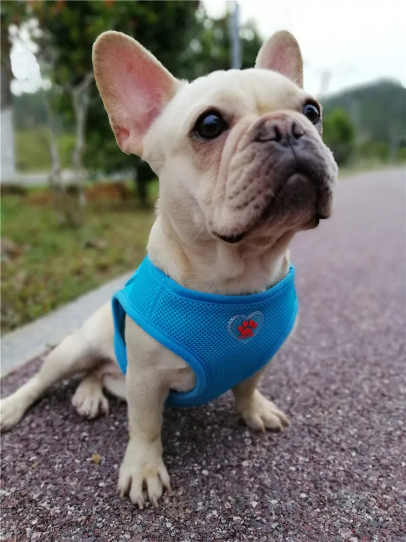 Arnés para perros pequeños, malla suave y transpirable, sin tirones, arnés ajustable para mascotas, chaleco para gatos, arnés para cachorros, accesorios para Chihuahua Yorkie Pugs