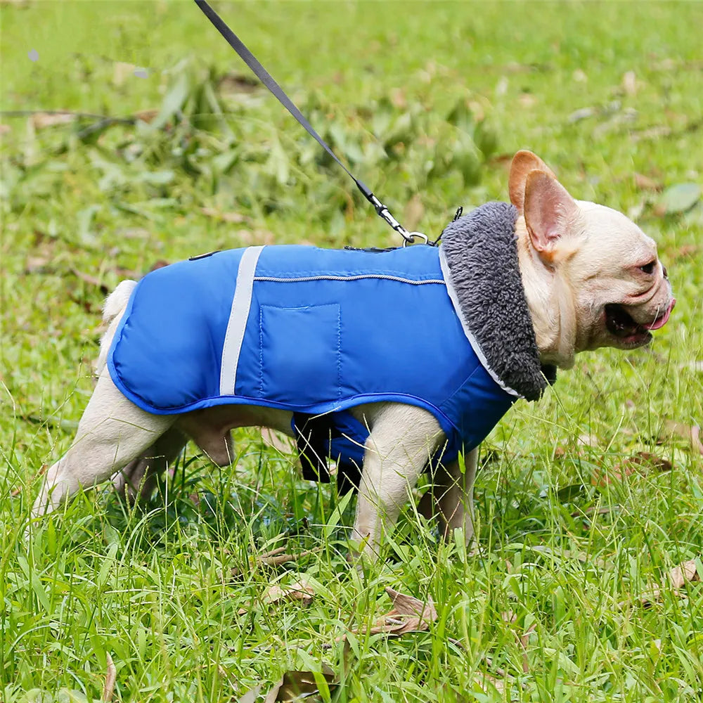 Ropa de invierno para perros de diseñador, chaquetas acolchadas reflectantes impermeables para perros medianos y grandes, abrigo cálido y grueso de lana para mascotas, ajustable