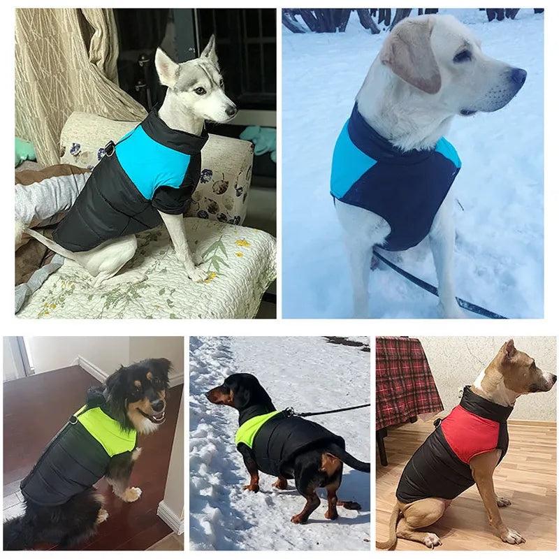 Vêtements d'hiver pour chiens de compagnie, manteau chaud pour grands chiens, vêtements pour chiots, gilet imperméable pour animaux de compagnie, veste pour petits, moyens et grands chiens Golden Retriever