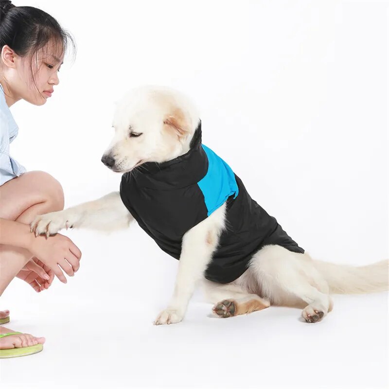 Vêtements d'hiver pour chiens de compagnie, manteau chaud pour grands chiens, vêtements pour chiots, gilet imperméable pour animaux de compagnie, veste pour petits, moyens et grands chiens Golden Retriever