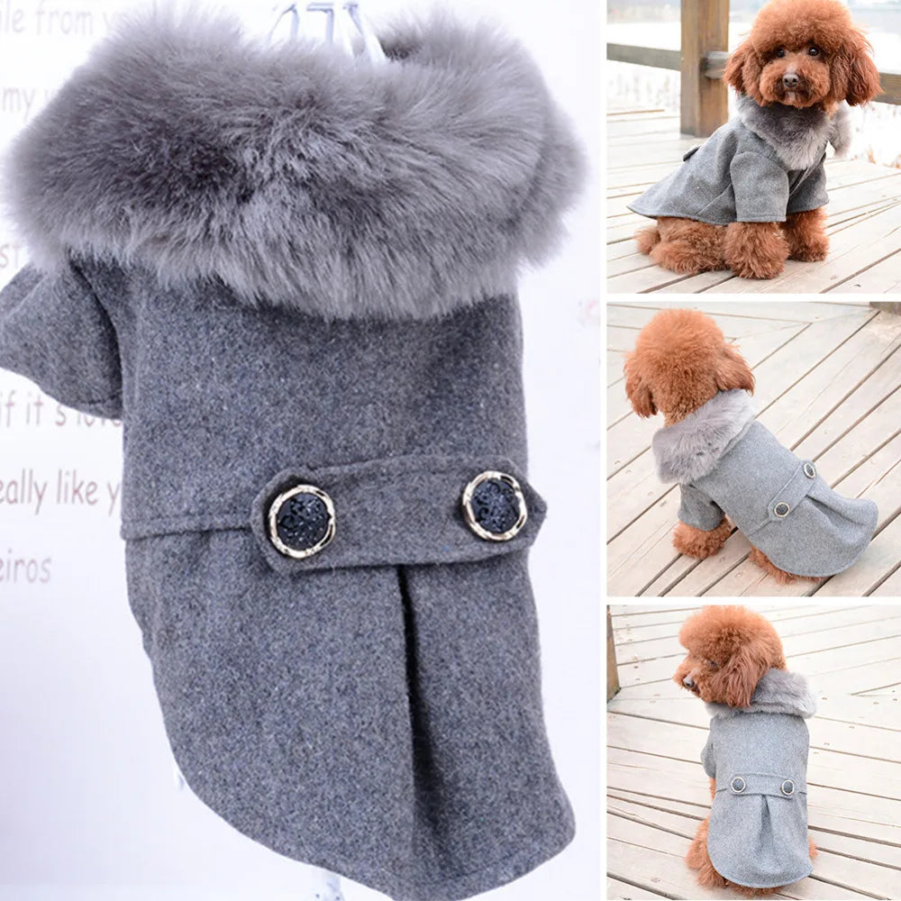 Vêtements d'hiver pour chiens et chats, veste à col en fourrure, manteau, pull chaud rembourré, vêtements pour chiots, petits et moyens chiens