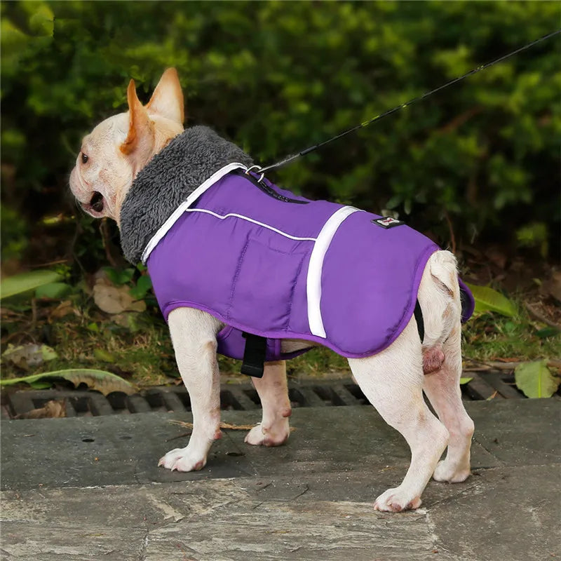 Ropa de invierno para perros de diseñador, chaquetas acolchadas reflectantes impermeables para perros medianos y grandes, abrigo cálido y grueso de lana para mascotas, ajustable