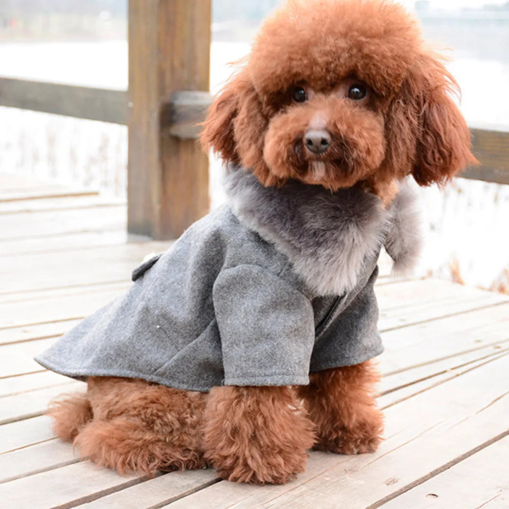 Ropa de invierno para perros, chaqueta con cuello de piel de Gato, abrigo, suéter, ropa acolchada cálida para cachorros, perros pequeños y medianos