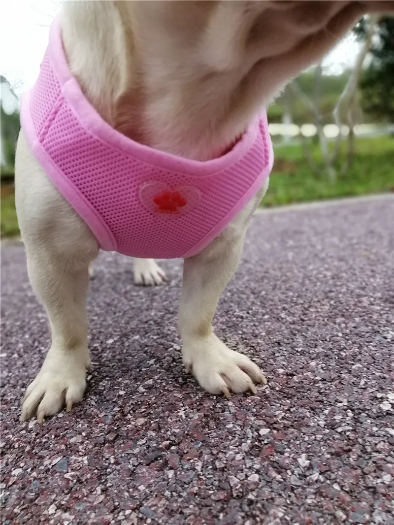 Arnés para perros pequeños, malla suave y transpirable, sin tirones, arnés ajustable para mascotas, chaleco para gatos, arnés para cachorros, accesorios para Chihuahua Yorkie Pugs