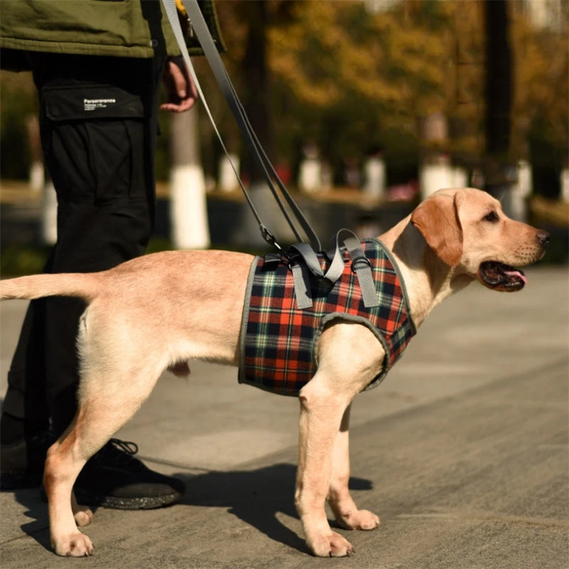 Arnés de apoyo para perros discapacitados, arnés de elevación para perros, arnés de rehabilitación, soporte de cintura para lesiones antiguas en las articulaciones, accesorios para caminar para perros