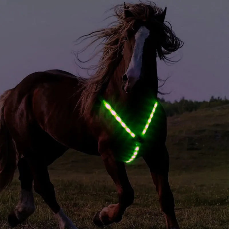 Arnés de correas para caballo, Collar, peto, luz LED Visible nocturna ajustable, cinturón para el pecho, equipo de conducción segura, novedad de 2021