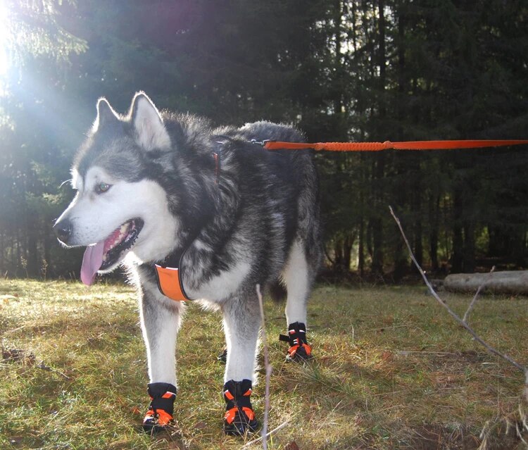 Zapatos para mascotas, botas impermeables para perros con suela antideslizante resistente reflectante, zapatos para perros al aire libre, 2 piezas/4 piezas