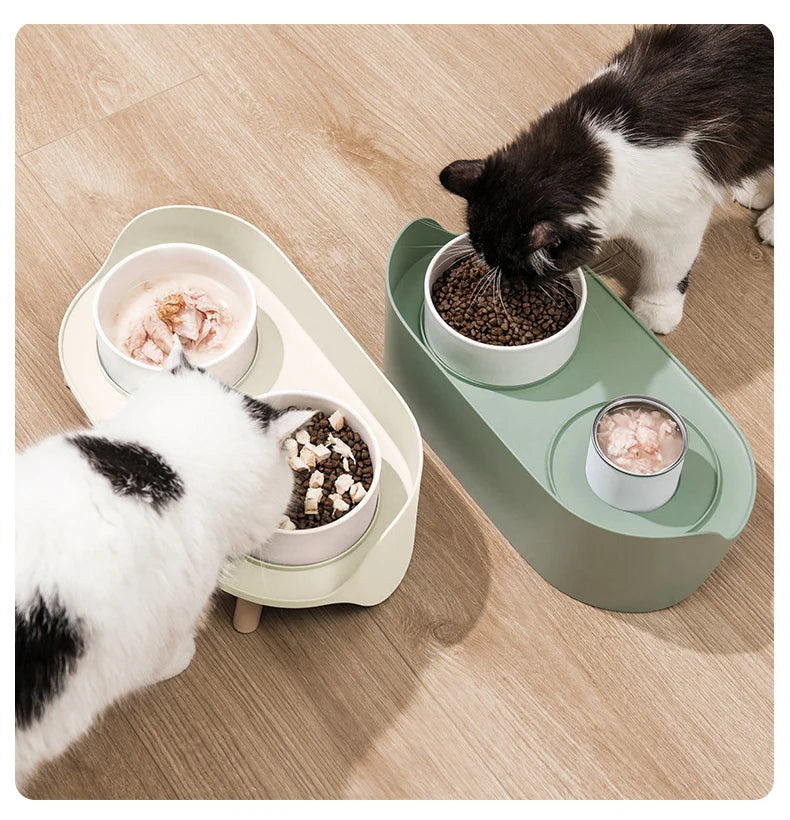 Bols en céramique Double pour chat avec support, mangeoires à boire pour petits chiens, fournitures d'alimentation surélevées pour animaux de compagnie