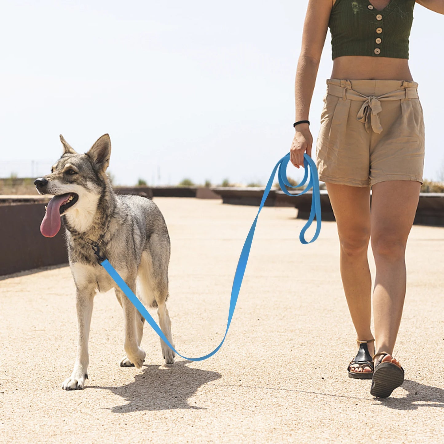 Laisse de chien en PVC solide de 1.5m/3m/5m/10m de largeur de 2.5cm, laisse multicolore Durable et étanche pour dressage de chiens