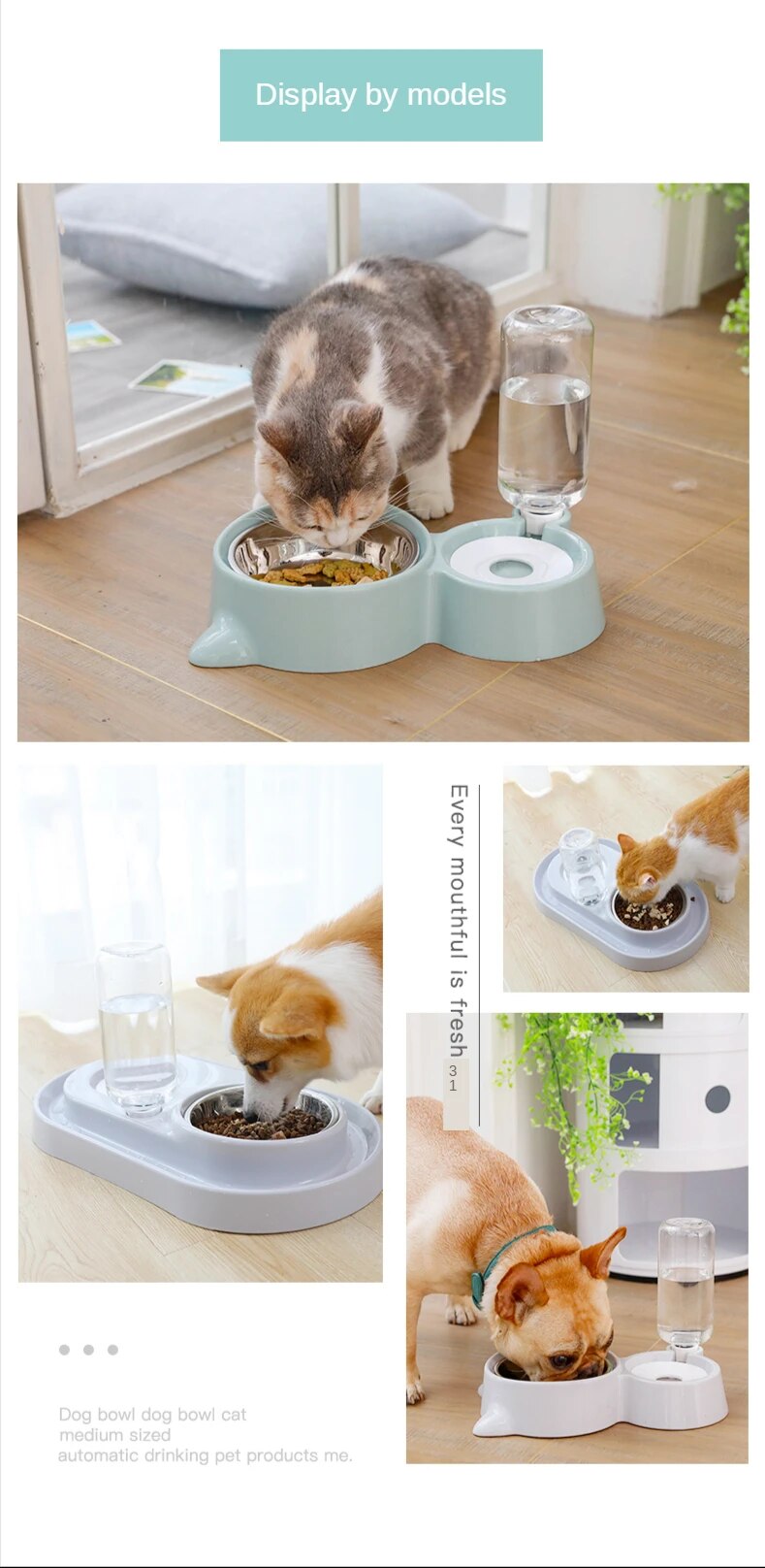 Double bol pour chien, bassin de nourriture, bassin de riz pour chien et chat, distributeur d'eau automatique, manger, boire de l'eau, fournitures pour animaux de compagnie