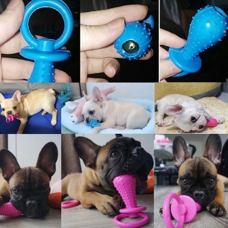 Jouets en caoutchouc pour petits chiens, 1 pièce, résistance aux morsures, nettoyage des dents, jouets d'entraînement à la mastication, fournitures pour animaux de compagnie, chiots, chiens, chats