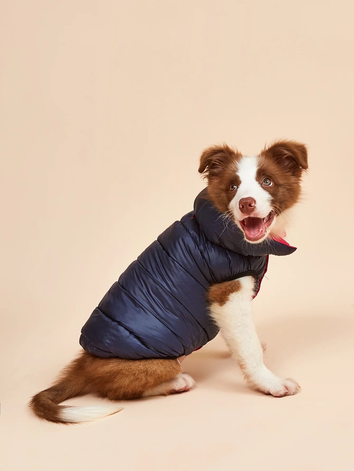 Ropa impermeable para perros grandes, chaqueta Reversible de invierno para mascotas, chaqueta acolchada suave y hinchada para perros grandes, peso ligero Husky 5XL