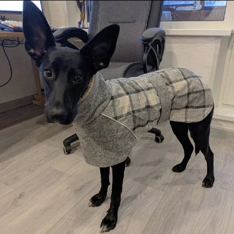 Warm Fleece Winter Big Dog Clothes Fashion Plaid Print  Pet Jacket with Belt for Medium Large Dogs Greyhound Weimaraner Clothing Fashion Style