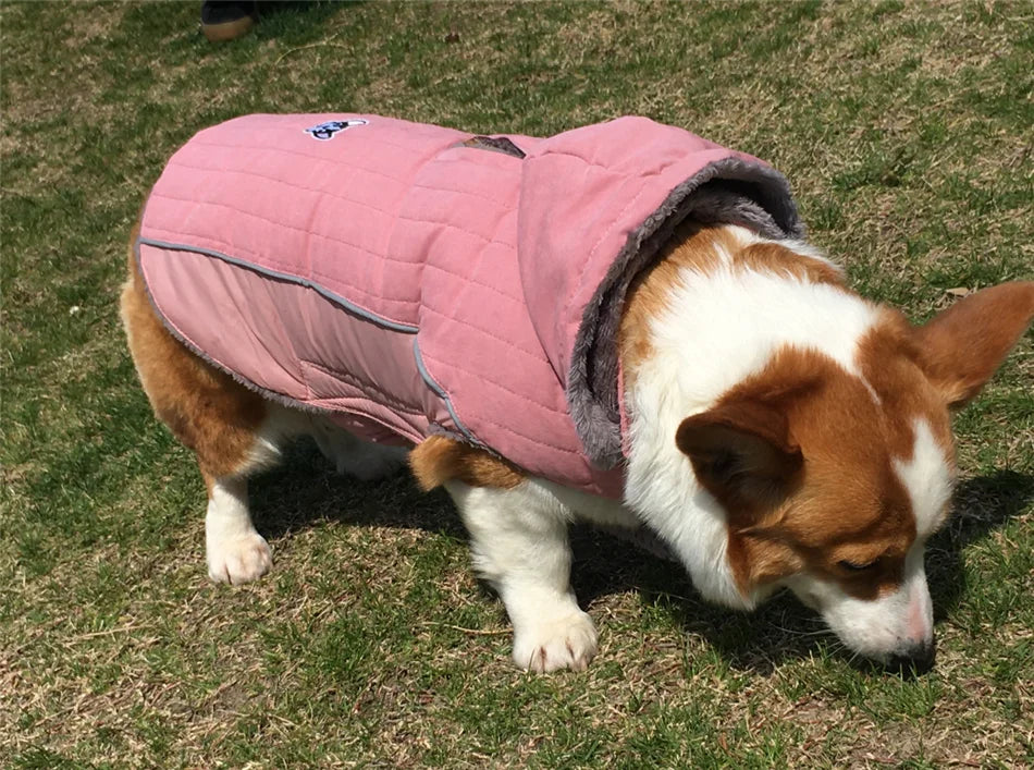 Ropa de invierno para perros Ropa gruesa de lana cálida para perros Chaqueta de invierno para perros Reflectante Ajustable Vientre Acolchado Abrigo para perros Capucha extraíble Estilo de moda