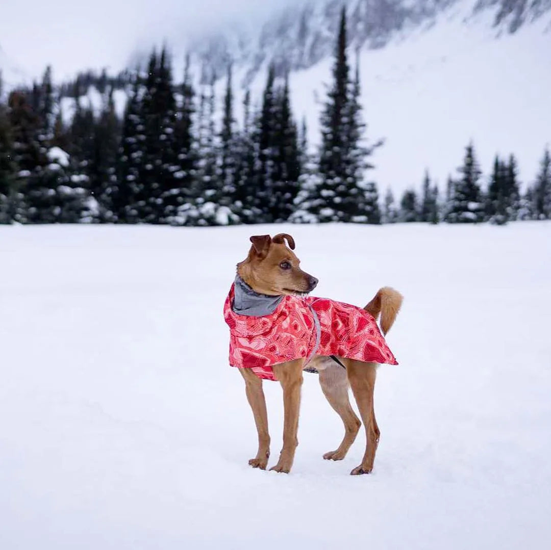 Ropa acolchada de invierno para perros, chaqueta impermeable muy cálidas para perros grandes, abrigo de algodón más grueso, ropa para mascotas, cachorros