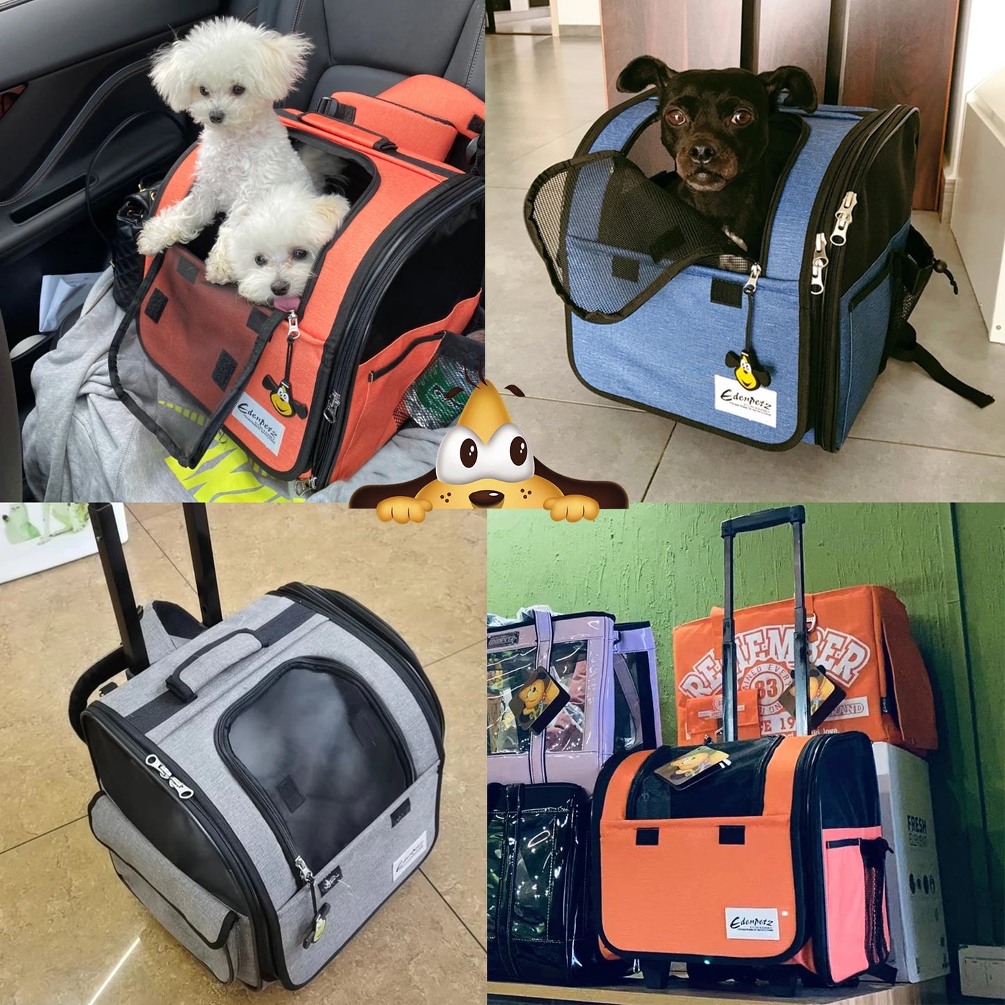 Sac à dos pour animaux de compagnie sur roues multifonctionnel respirant chat sac de Transport compagnie aérienne approuvé poussette pour animaux de compagnie pour chiens chat