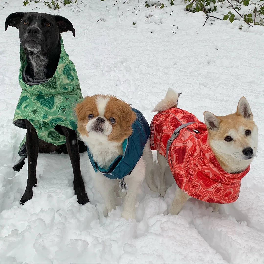 Ropa acolchada de invierno para perros, chaqueta impermeable muy cálidas para perros grandes, abrigo de algodón más grueso, ropa para mascotas, cachorros