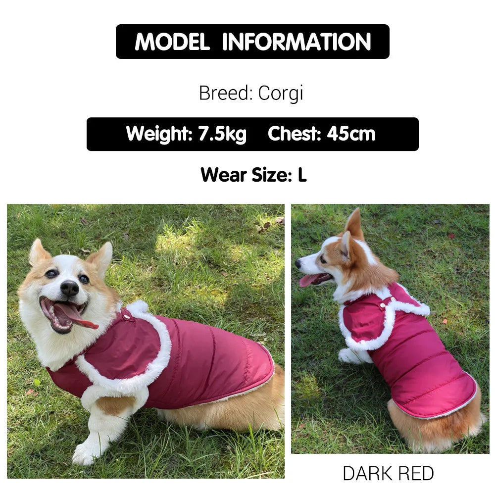 Winter Clothes for Dogs White Fur Cute Dog Jacket Warm Cape for Small Big Dogs Soft Padded Pet Coat Dachshund Yorkies Fashion Style