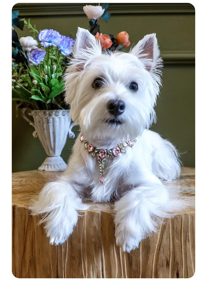 Collar de lujo para mascotas, cadena ajustable, collar de perro con diamantes de imitación grandes para perros pequeños, collar de gato con diamantes de moda, accesorios para mascotas femeninas, estilo