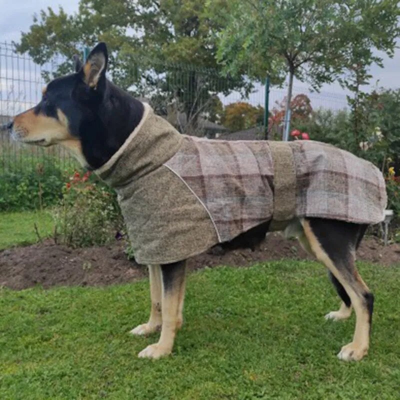 Ropa cálida de lana para perros grandes de invierno, chaqueta para mascotas con estampado a cuadros a la moda y cinturón para perros medianos y grandes, ropa para galgos Weimaraner, estilo de moda