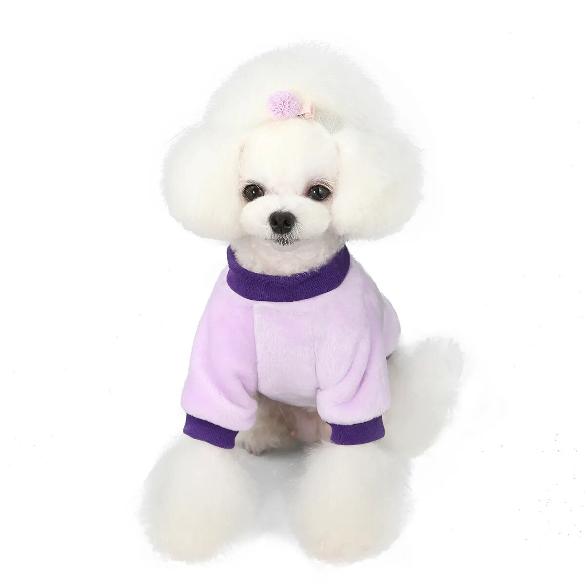 Warm Fleece Pet Clothes Cute Fruit Print Coat Small Medium Dog Cat Shirt Jacket Teddy French Bulldog Chihuahua Winter Outfit Fashion Style