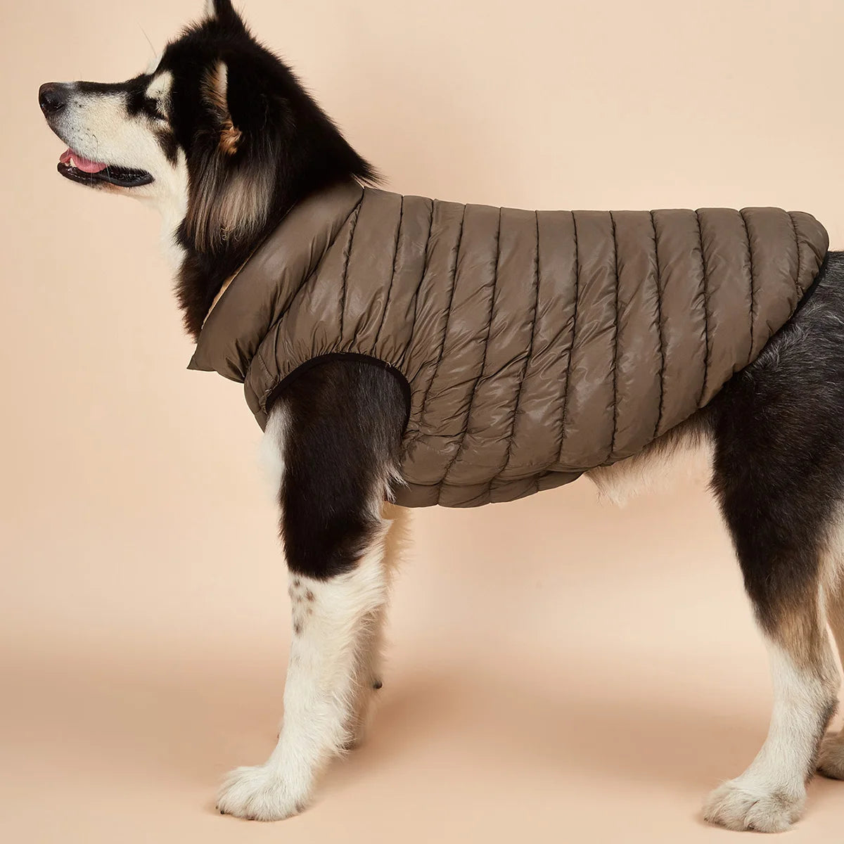 Ropa impermeable para perros grandes, chaqueta Reversible de invierno para mascotas, chaqueta acolchada suave y hinchada para perros grandes, peso ligero Husky 5XL