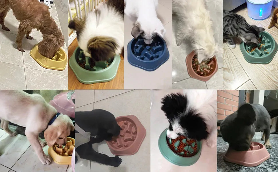 Cuenco para perros, comedero lento para perros, plato para comer lento para cachorros y gatos, plato de comida antigolpes, cuenco para comida para perros y gatos, suministros para mascotas