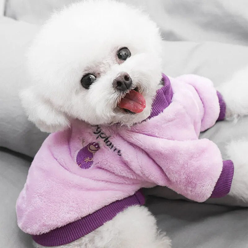 Warm Fleece Pet Clothes Cute Fruit Print Coat Small Medium Dog Cat Shirt Jacket Teddy French Bulldog Chihuahua Winter Outfit Fashion Style