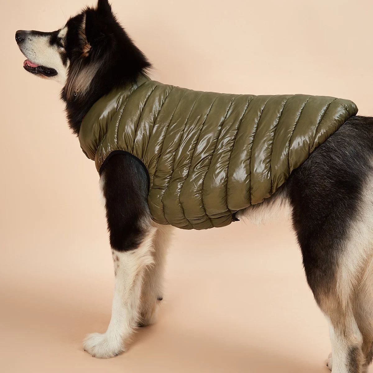 Waterproof Dog Clothes for Big Dogs Winter Reversible Pet Jacket Soft Padded Puffy Large Dog Down Jacket Light Weight Husky 5XL