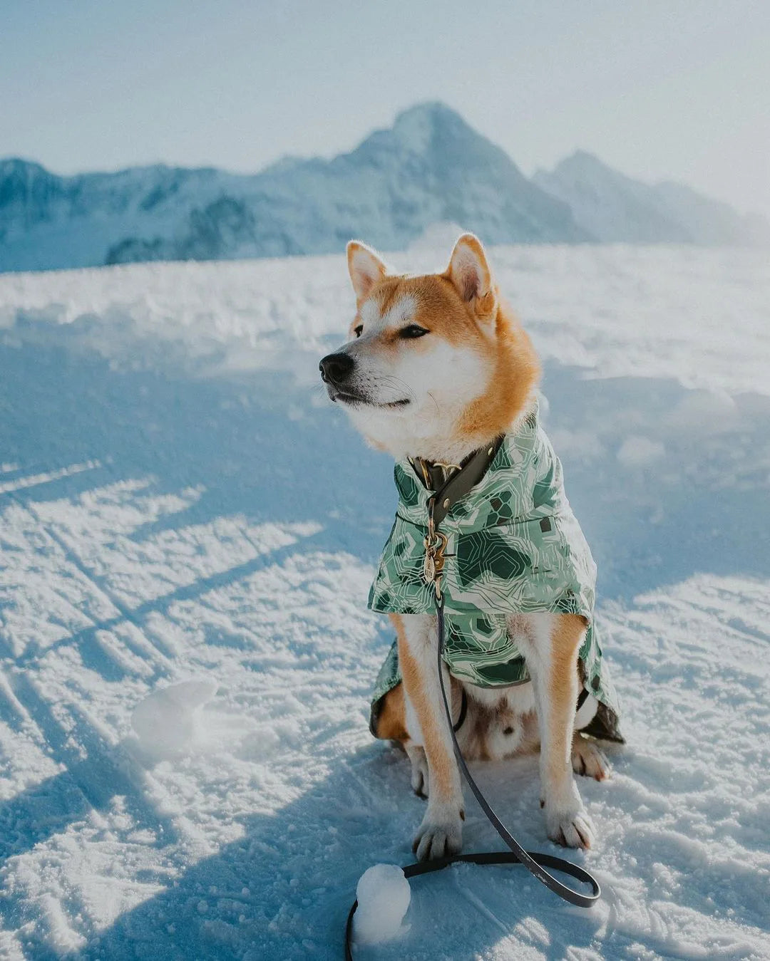 Ropa acolchada de invierno para perros, chaqueta impermeable muy cálidas para perros grandes, abrigo de algodón más grueso, ropa para mascotas, cachorros