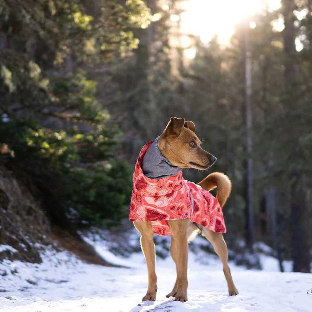 Ropa acolchada de invierno para perros, chaqueta impermeable muy cálidas para perros grandes, abrigo de algodón más grueso, ropa para mascotas, cachorros