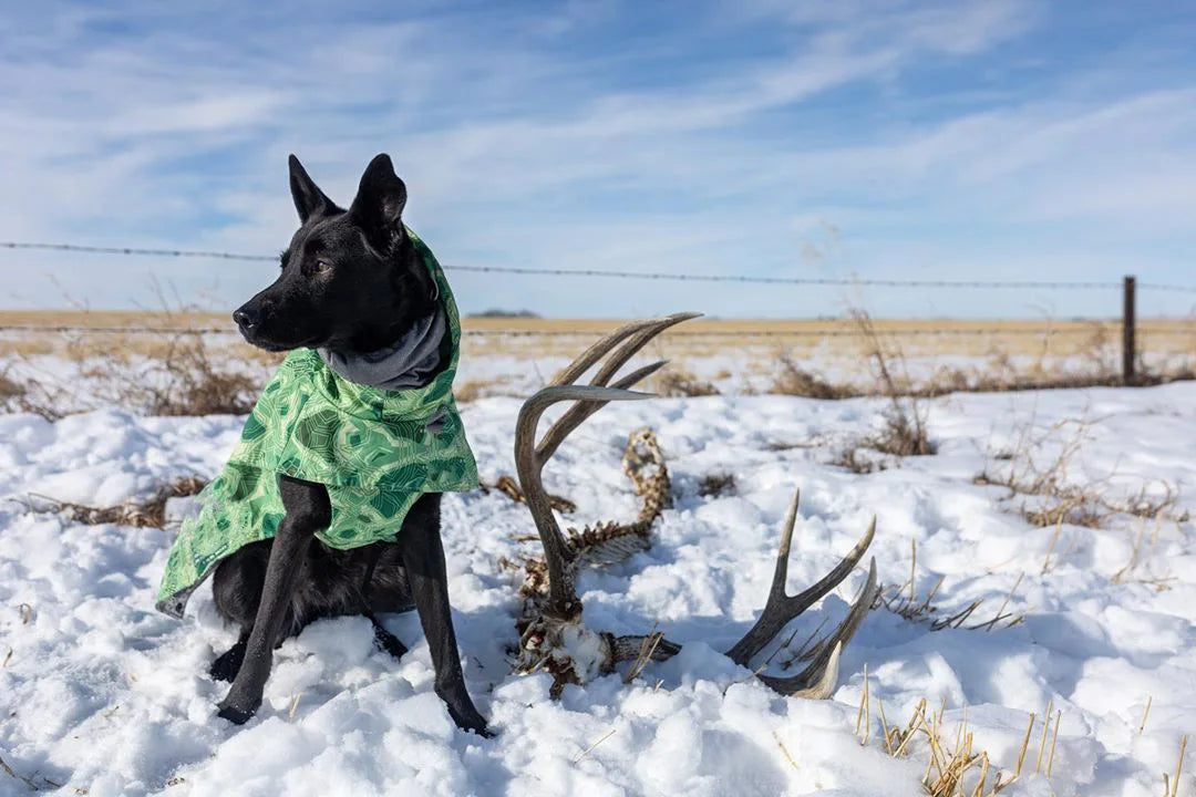 Ropa acolchada de invierno para perros, chaqueta impermeable muy cálidas para perros grandes, abrigo de algodón más grueso, ropa para mascotas, cachorros