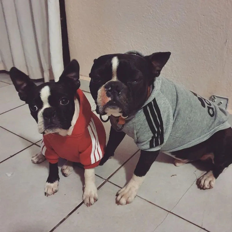 Ropa de invierno para perros Adidog, sudaderas deportivas, sudaderas, abrigo cálido, ropa para perros pequeños, medianos y grandes, perros grandes, gatos, mascotas, cachorros Outfi