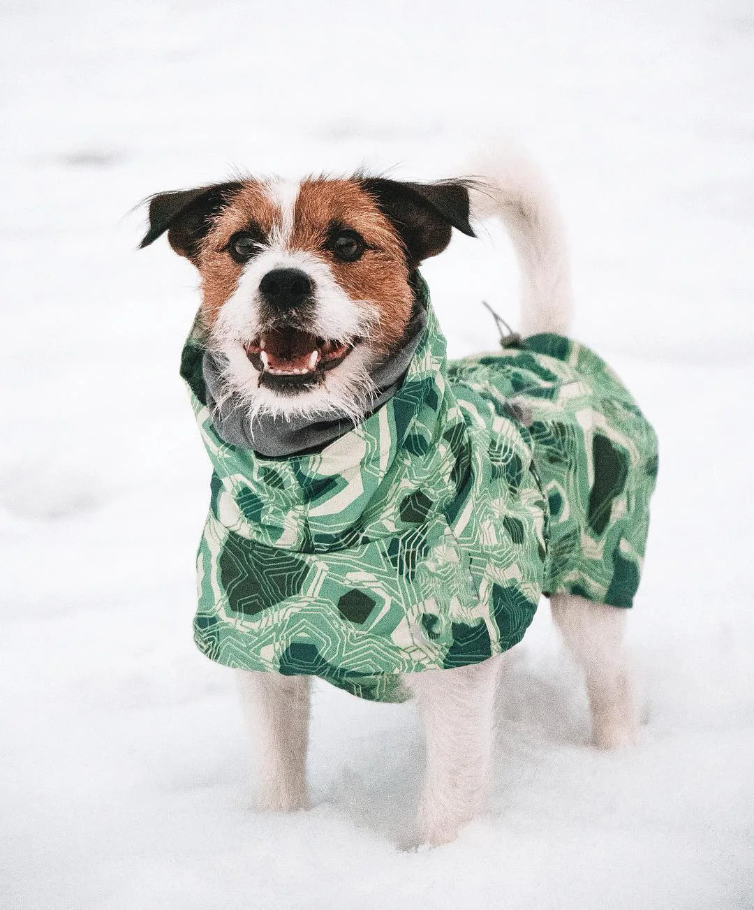 Ropa acolchada de invierno para perros, chaqueta impermeable muy cálidas para perros grandes, abrigo de algodón más grueso, ropa para mascotas, cachorros