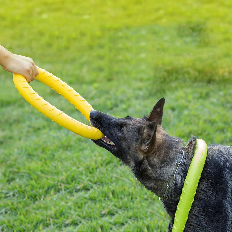 Dog Toy Flying Discs EVA Dog Training Ring Puller Resistant Bite Floating Toy Puppy Outdoor Interactive Ring Toy Pet Accessories