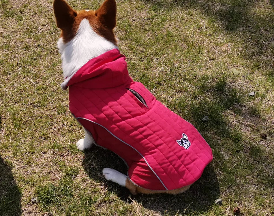 Ropa de invierno para perros Ropa gruesa de lana cálida para perros Chaqueta de invierno para perros Reflectante Ajustable Vientre Acolchado Abrigo para perros Capucha extraíble Estilo de moda