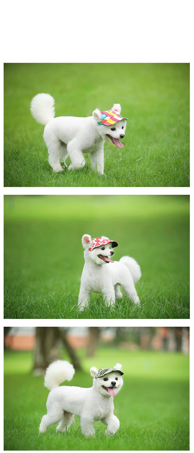 Sombrero para perros de verano, gorra de béisbol para perros al aire libre, accesorios de protección solar para perros pequeños de lona, ​​estilo de moda