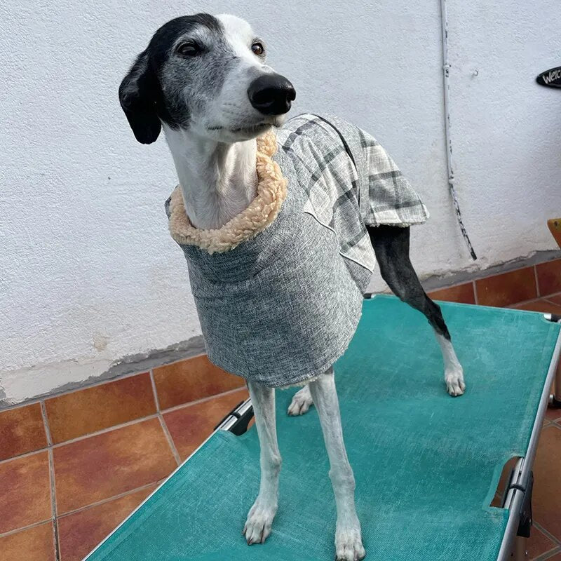 Ropa cálida de lana para perros grandes de invierno, chaqueta para mascotas con estampado a cuadros a la moda y cinturón para perros medianos y grandes, ropa para galgos Weimaraner, estilo de moda