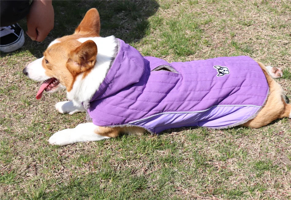 Ropa de invierno para perros Ropa gruesa de lana cálida para perros Chaqueta de invierno para perros Reflectante Ajustable Vientre Acolchado Abrigo para perros Capucha extraíble Estilo de moda