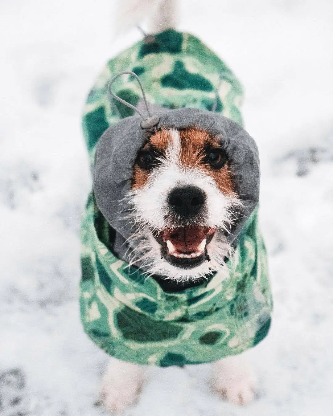 Ropa acolchada de invierno para perros, chaqueta impermeable muy cálidas para perros grandes, abrigo de algodón más grueso, ropa para mascotas, cachorros