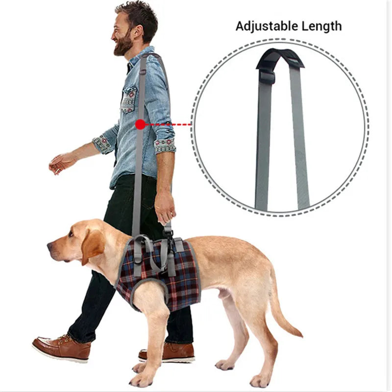 Arnés de apoyo para perros discapacitados, arnés de elevación para perros, arnés de rehabilitación, soporte de cintura para lesiones antiguas en las articulaciones, accesorios para caminar para perros