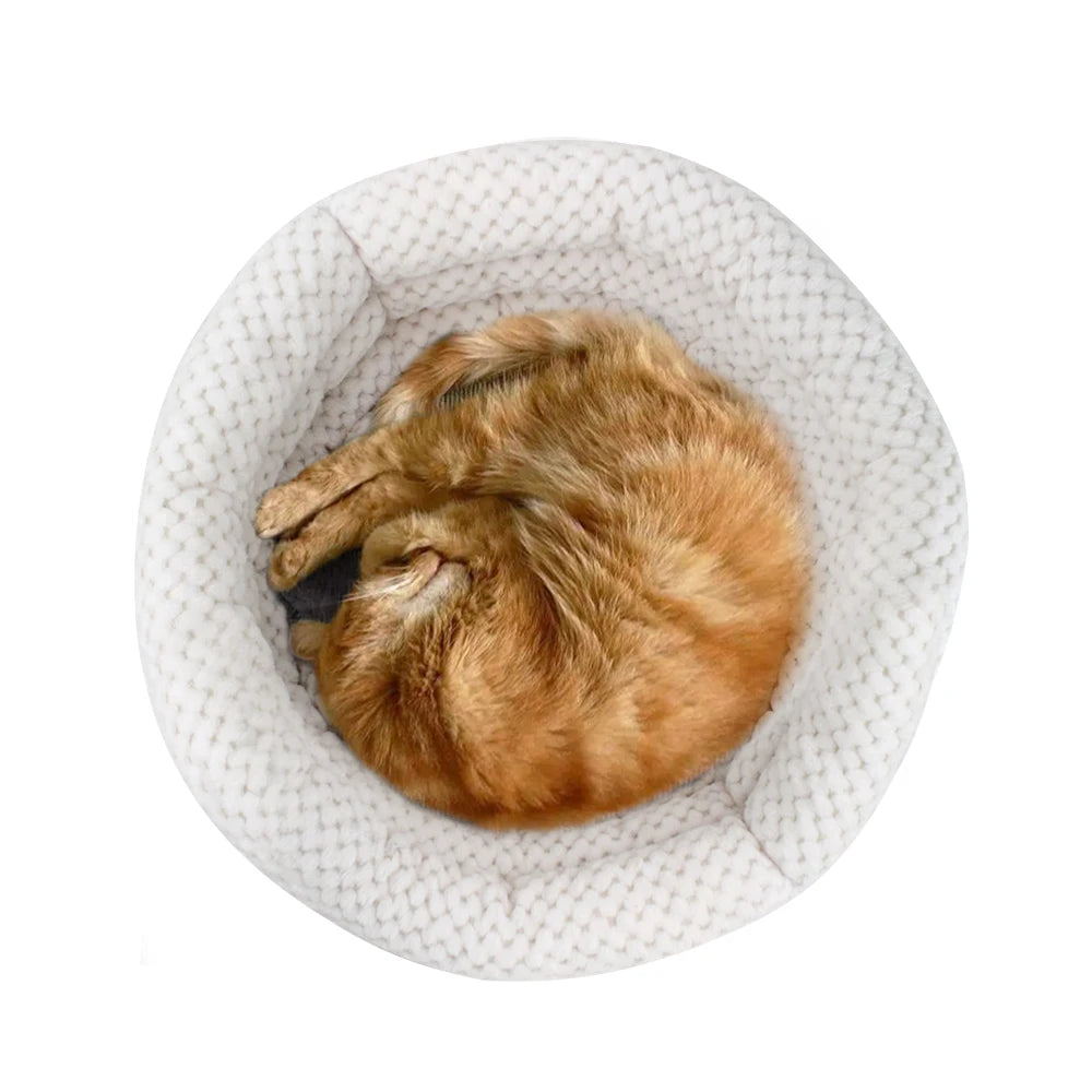 Cama de lujo para gatos, cama para gatos suave y redonda para dormir profundamente, cama para gatos muy cálidas para invierno, suministros duraderos para mascotas, lavable a máquina