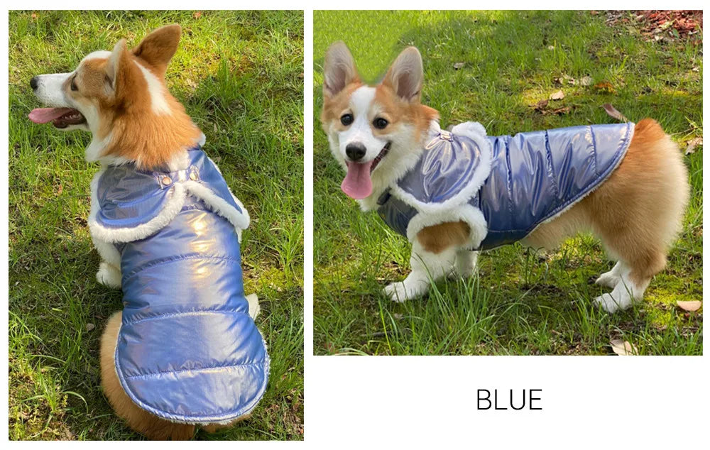 Vêtements d'hiver pour chiens en fourrure blanche, veste mignonne pour chien, Cape chaude pour petits et grands chiens, manteau doux rembourré pour animaux de compagnie, teckel Yorkies, Style à la mode