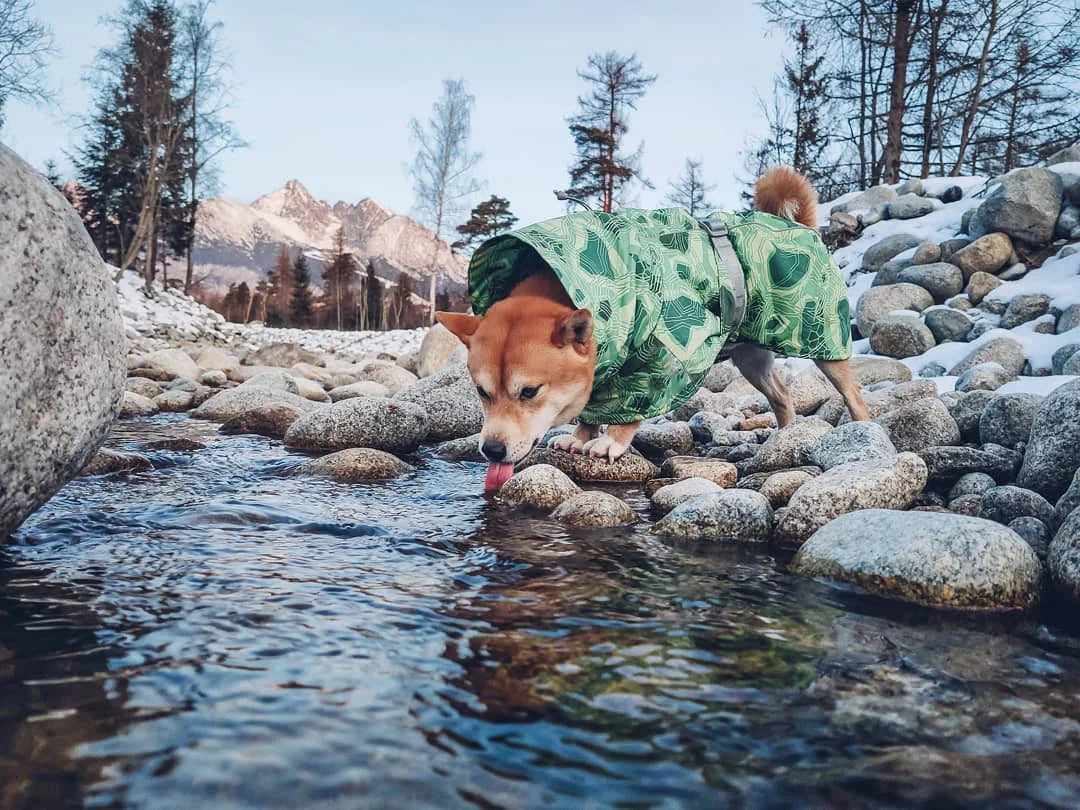 Ropa acolchada de invierno para perros, chaqueta impermeable muy cálidas para perros grandes, abrigo de algodón más grueso, ropa para mascotas, cachorros