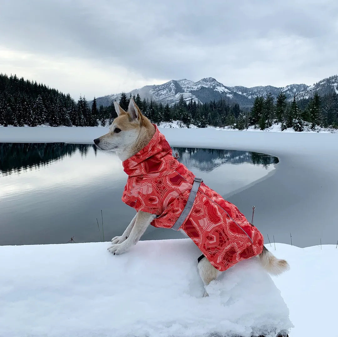 Ropa acolchada de invierno para perros, chaqueta impermeable muy cálidas para perros grandes, abrigo de algodón más grueso, ropa para mascotas, cachorros